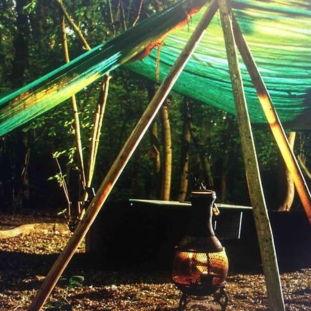 Magical Forest Yurt Sturry 外观 照片