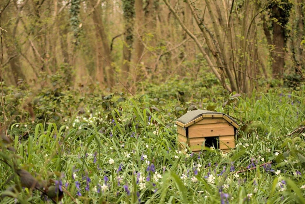Magical Forest Yurt Sturry 外观 照片