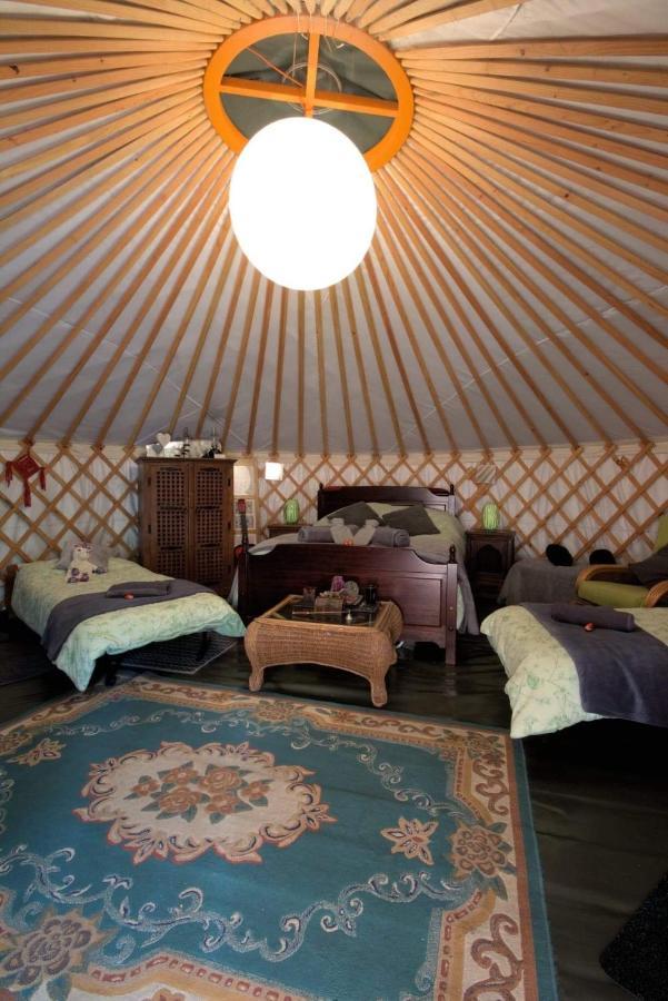Magical Forest Yurt Sturry 外观 照片