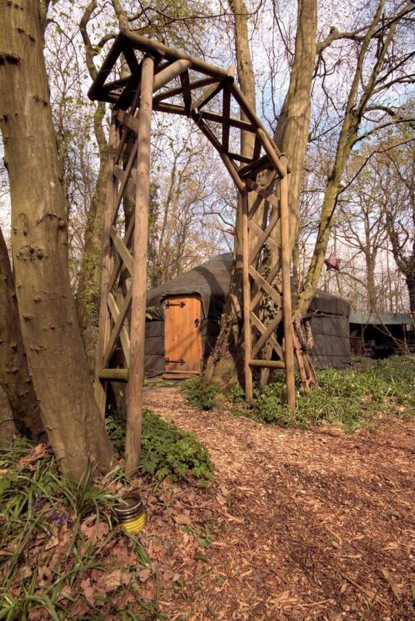 Magical Forest Yurt Sturry 外观 照片