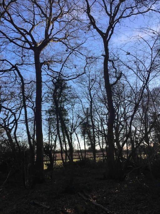 Magical Forest Yurt Sturry 外观 照片