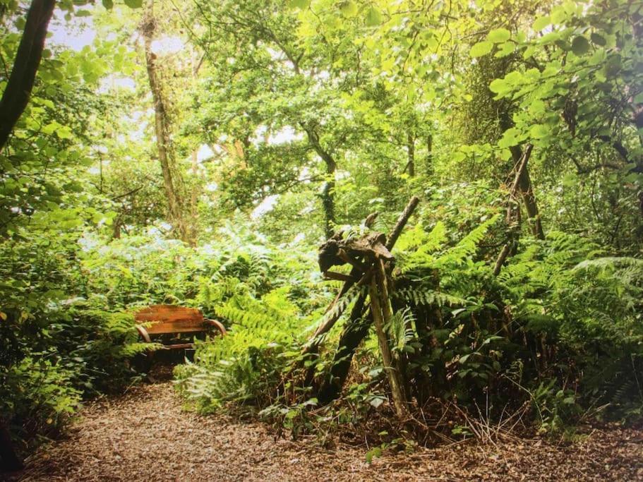 Magical Forest Yurt Sturry 外观 照片