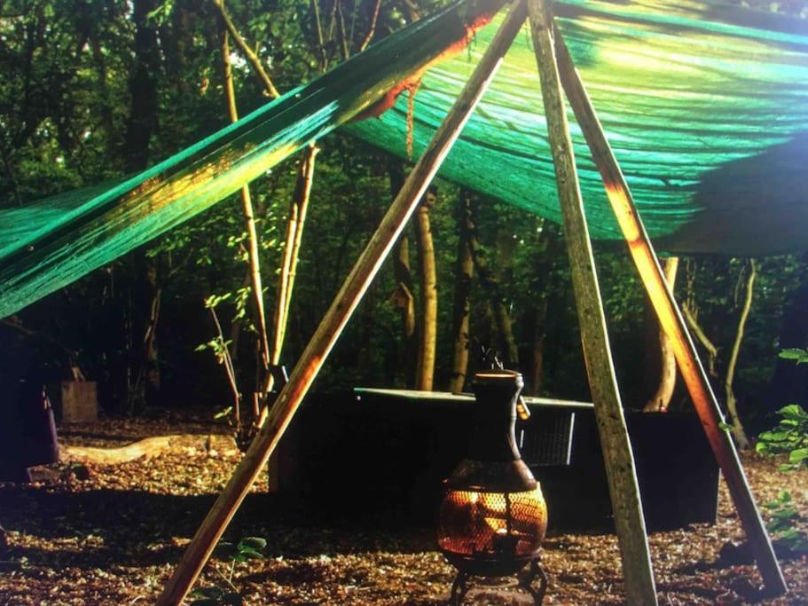 Magical Forest Yurt Sturry 外观 照片