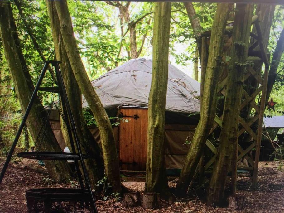 Magical Forest Yurt Sturry 外观 照片