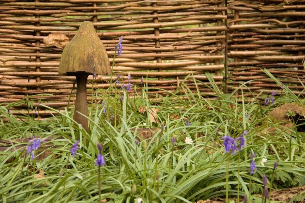 Magical Forest Yurt Sturry 外观 照片