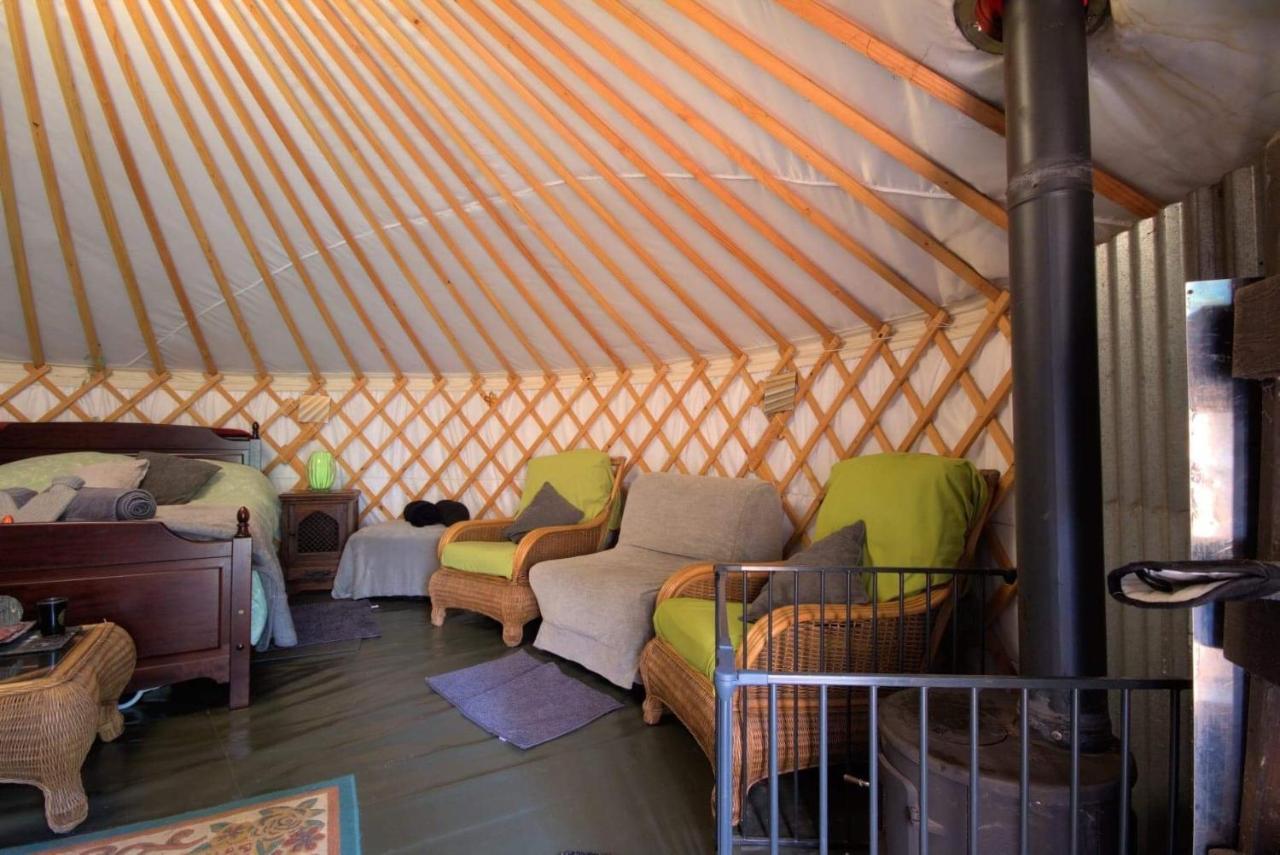 Magical Forest Yurt Sturry 外观 照片