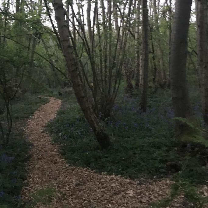 Magical Forest Yurt Sturry 外观 照片