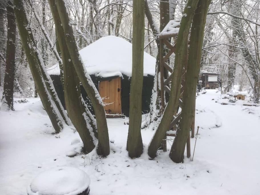 Magical Forest Yurt Sturry 外观 照片
