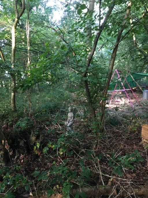 Magical Forest Yurt Sturry 外观 照片
