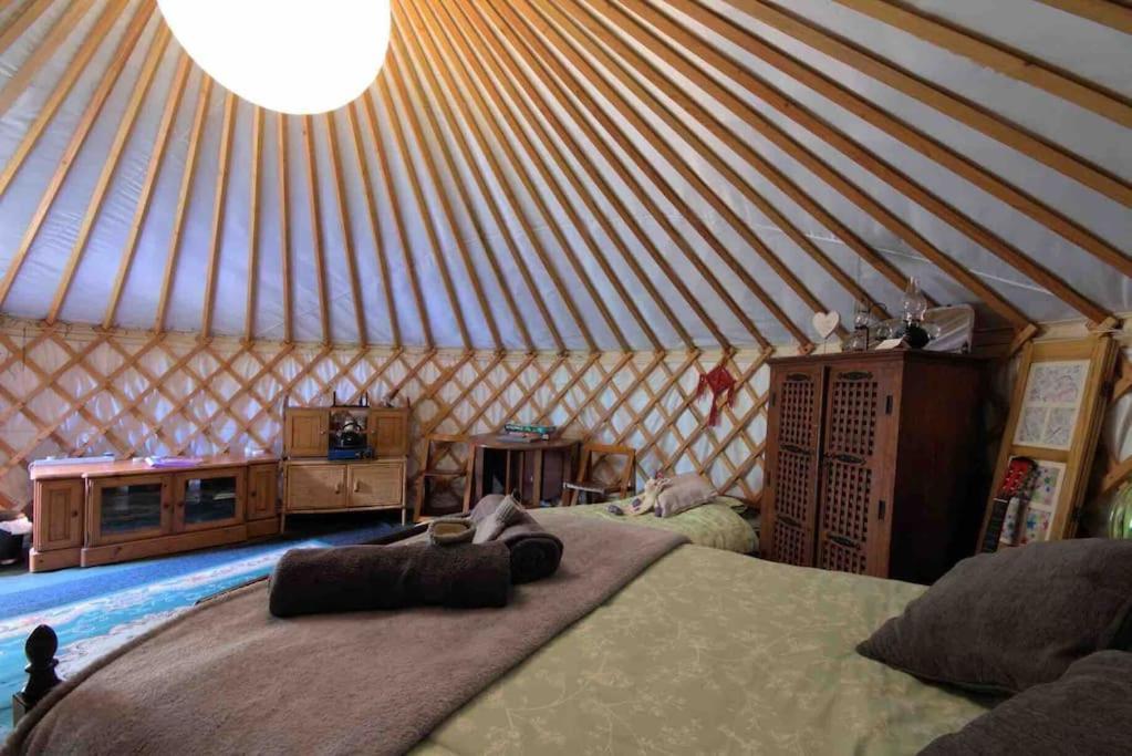 Magical Forest Yurt Sturry 外观 照片