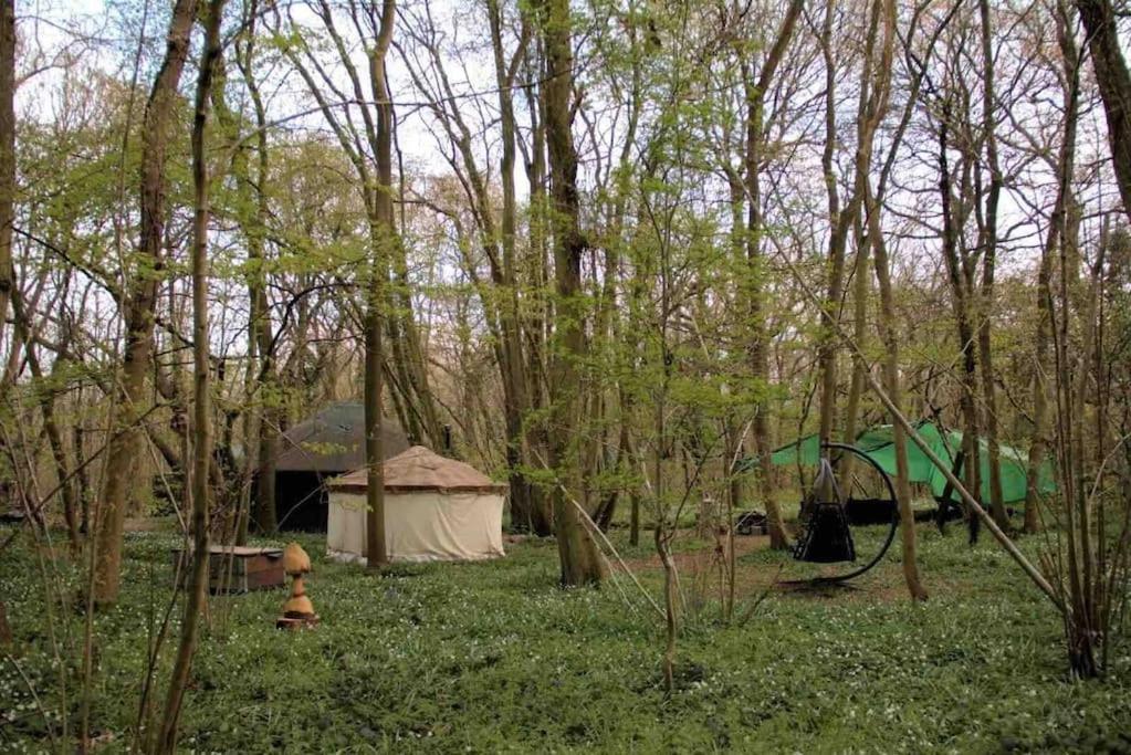 Magical Forest Yurt Sturry 外观 照片