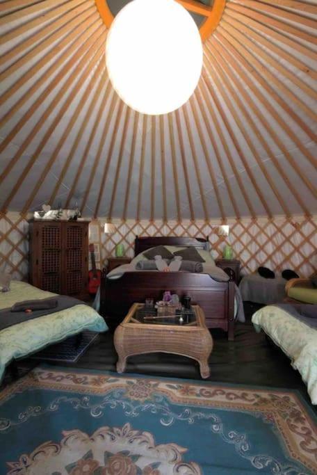 Magical Forest Yurt Sturry 外观 照片