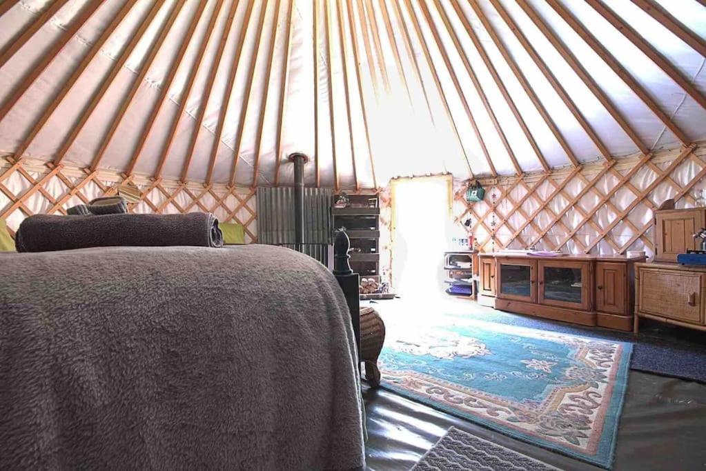 Magical Forest Yurt Sturry 外观 照片